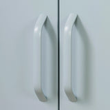 Metal 2-Door Accent Cabinet - Crea