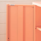 Metal 2-Door Accent Cabinet - Crea