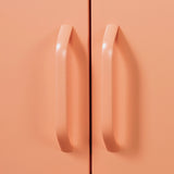 Metal 2-Door Accent Cabinet - Crea