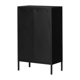 Metal 2-Door Accent Cabinet - Crea